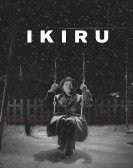 poster_ikiru_tt0044741.jpg Free Download