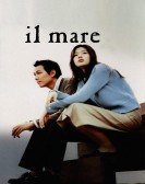 Il Mare Free Download