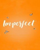 Imperfect Free Download