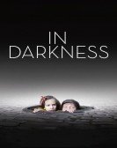 In Darkness poster