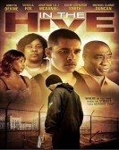 In the Hive Free Download