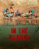 In the Quarry poster