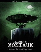 Incident at Montauk poster