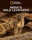 poster_indias-wild-leopards_tt11902274.jpg Free Download