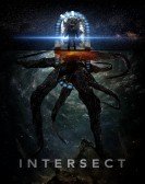 Intersect poster