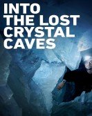 Into the Lost Crystal Caves Free Download