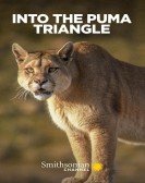 Into the Puma Triangle Free Download