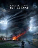 Into the Storm (2014) Free Download