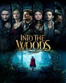 Into the Woods (2014) Free Download