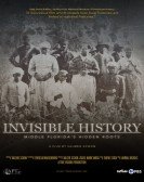 poster_invisible-history-middle-floridas-hidden-roots_tt15583246.jpg Free Download