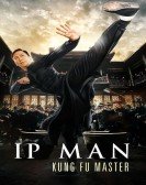 poster_ip-man-kung-fu-master_tt12567246.jpg Free Download