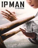 poster_ip-man-the-awakening_tt21028848.jpg Free Download