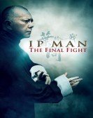 Yip Man: The Final Fight (2013) poster