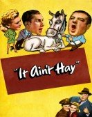 It Ain't Hay poster