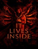 poster_it-lives-inside_tt15683734.jpg Free Download