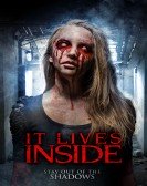 poster_it-lives-inside_tt8912318.jpg Free Download