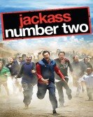 Jackass Number Two Free Download