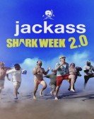 Jackass Shark Week 2.0 poster