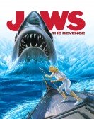 poster_jaws-the-revenge_tt0093300.jpg Free Download