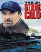 Jesse Stone: Stone Cold Free Download