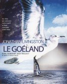 Jonathan Livingston Seagull Free Download