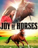 Joy of Horses Free Download