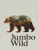 poster_jumbo-wild_tt5095028.jpg Free Download