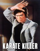 Karate Killer Free Download