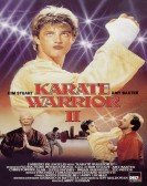 poster_karate-warrior-2_tt0095949.jpg Free Download