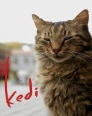 poster_kedi_tt4420704.jpg Free Download