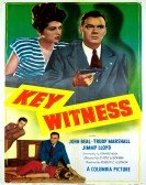 Key Witness Free Download