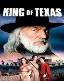 King of Texas poster