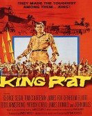 King Rat Free Download