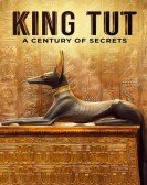 King Tut: A Century of Secrets Free Download