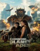 poster_kingdom-of-the-planet-of-the-apes_tt11389872.jpg Free Download