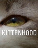 Kittenhood poster