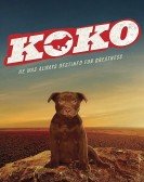 poster_koko-a-red-dog-story_tt8942864.jpg Free Download