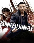 poster_kung-fu-jungle_tt2952602.jpg Free Download