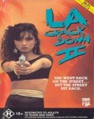 LA Crackdown II poster