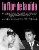 La Flor de la Vida Free Download