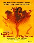 Lady Street Fighter Free Download