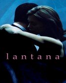 Lantana Free Download