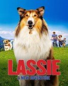 poster_lassie-a-new-adventure_tt23023256.jpg Free Download