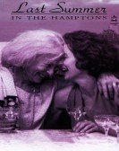 poster_last-summer-in-the-hamptons_tt0113612.jpg Free Download