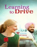 Learning to Drive Free Download