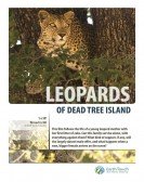 Leopards of Dead Tree Island Free Download