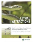 Lethal Attractions Free Download