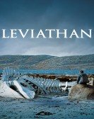 poster_leviathan_tt2802154.jpg Free Download