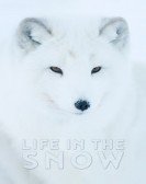 Life In The Snow Free Download