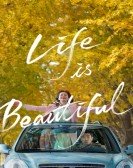 poster_life-is-beautiful_tt13236270.jpg Free Download